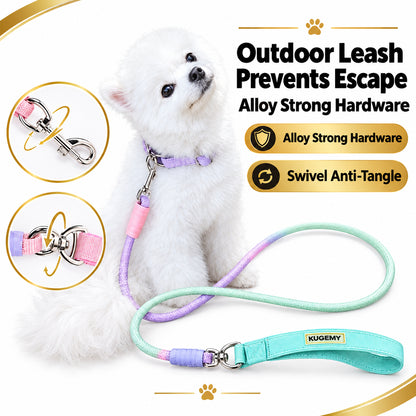 Wagbow Gradient Rope Dog Leash