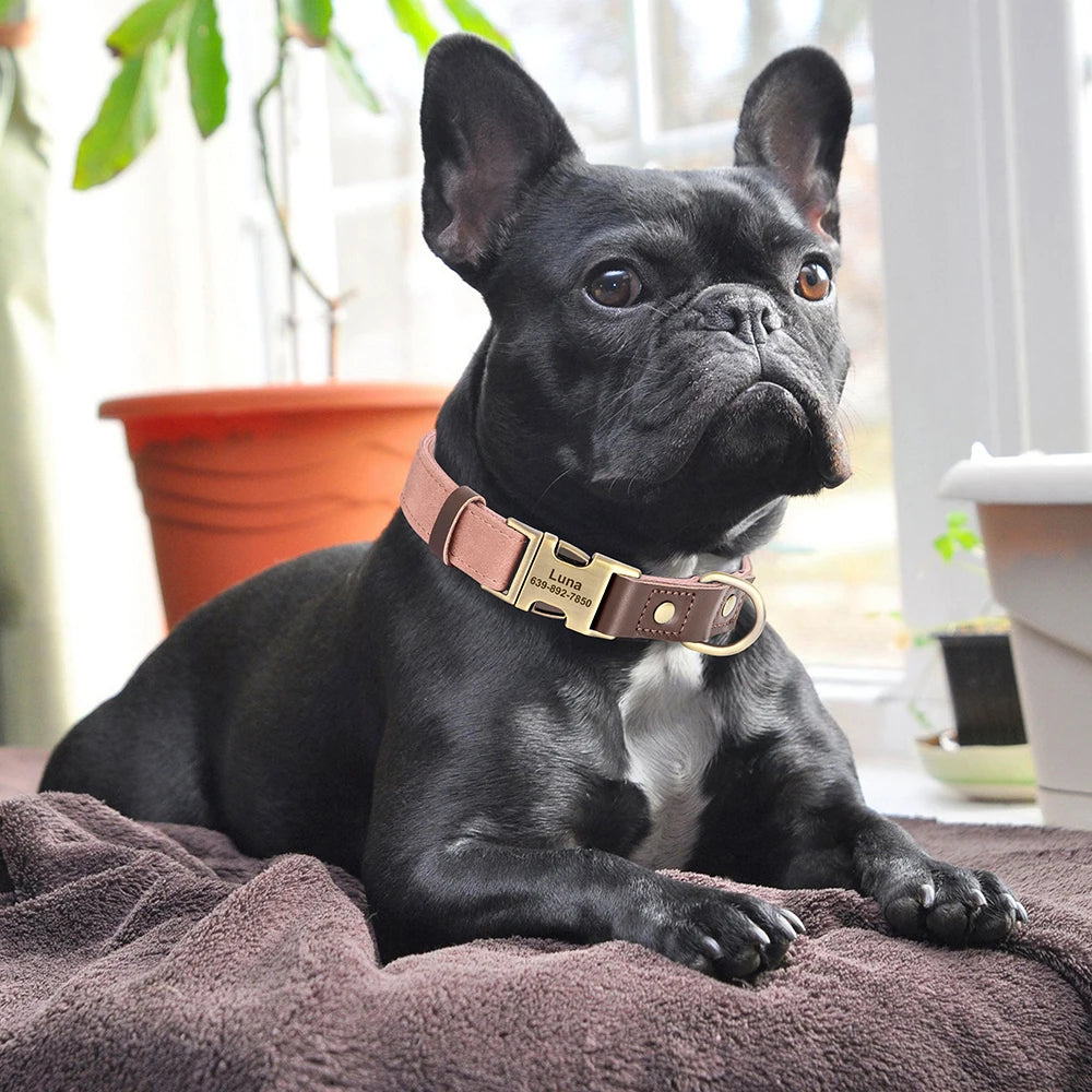 Customized Dog Collar Durable PU Leather Dog Collars Engraved Pet ID Necklace With Metal Buckle for Small Medium Large Dogs Pug