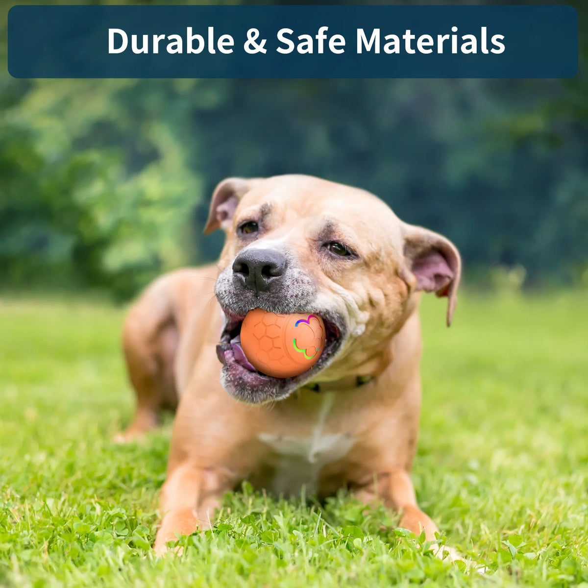 HaloBounce — Interactive Dog Ball