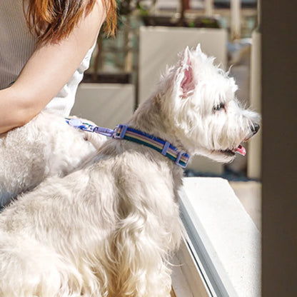 Taffy Twist Woven Dog Collar