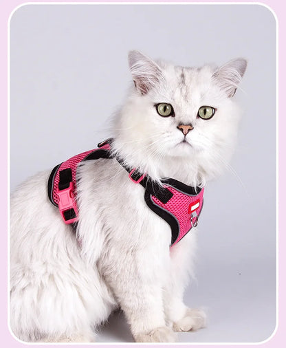 Purrfect Escape – Reflective Mesh Pet Harness & Leash Set