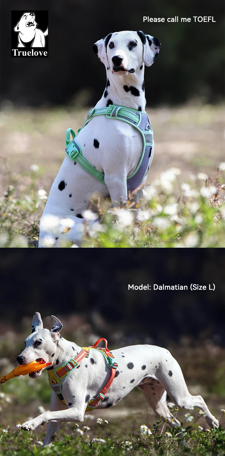 Trailblazer Tails – Reflective Padded Dog Harness