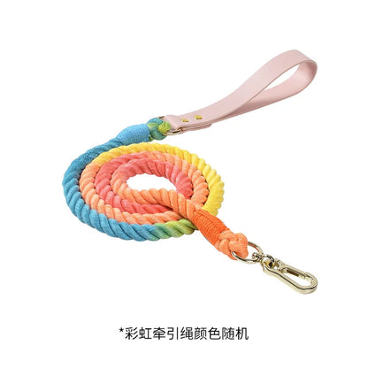 Wholesale Handmade Woven Colorful Pet Dog Leash Set Leather Dog Collar Supplies Cross-Border
