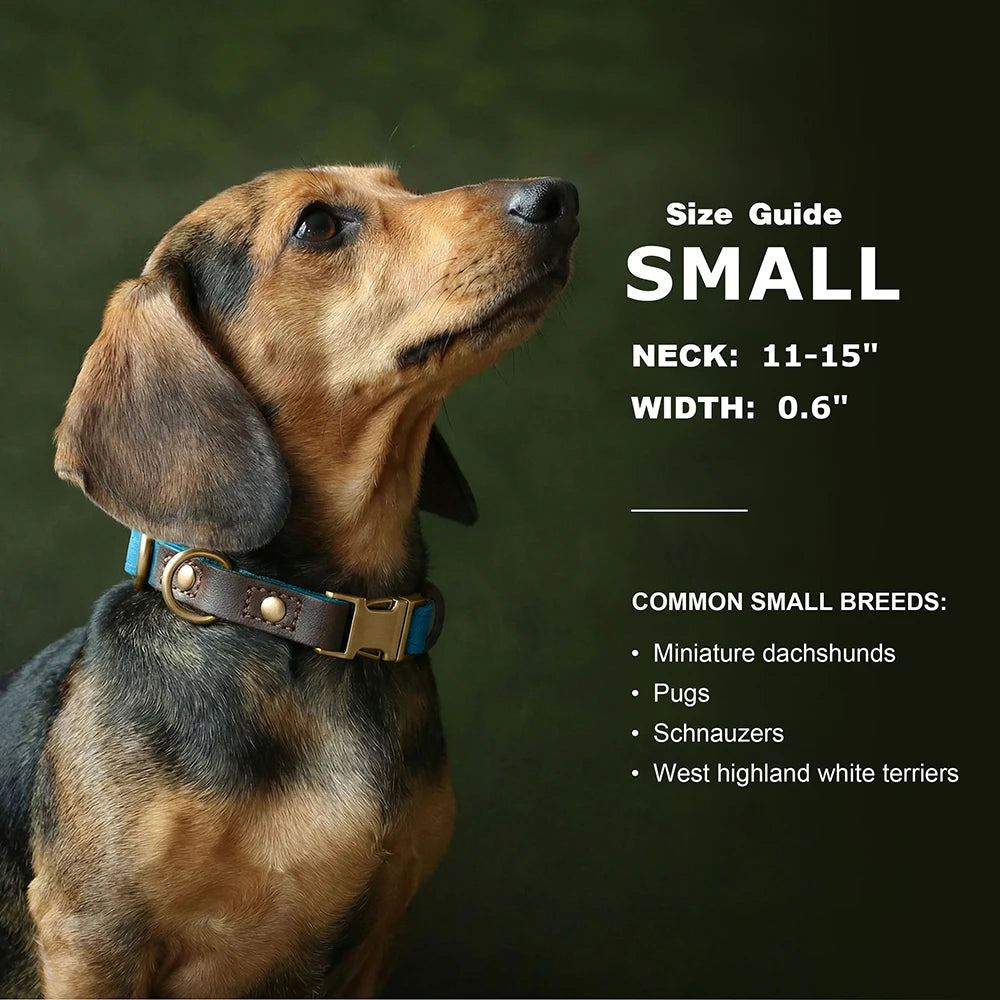Customized Dog Collar Durable PU Leather Dog Collars Engraved Pet ID Necklace With Metal Buckle for Small Medium Large Dogs Pug