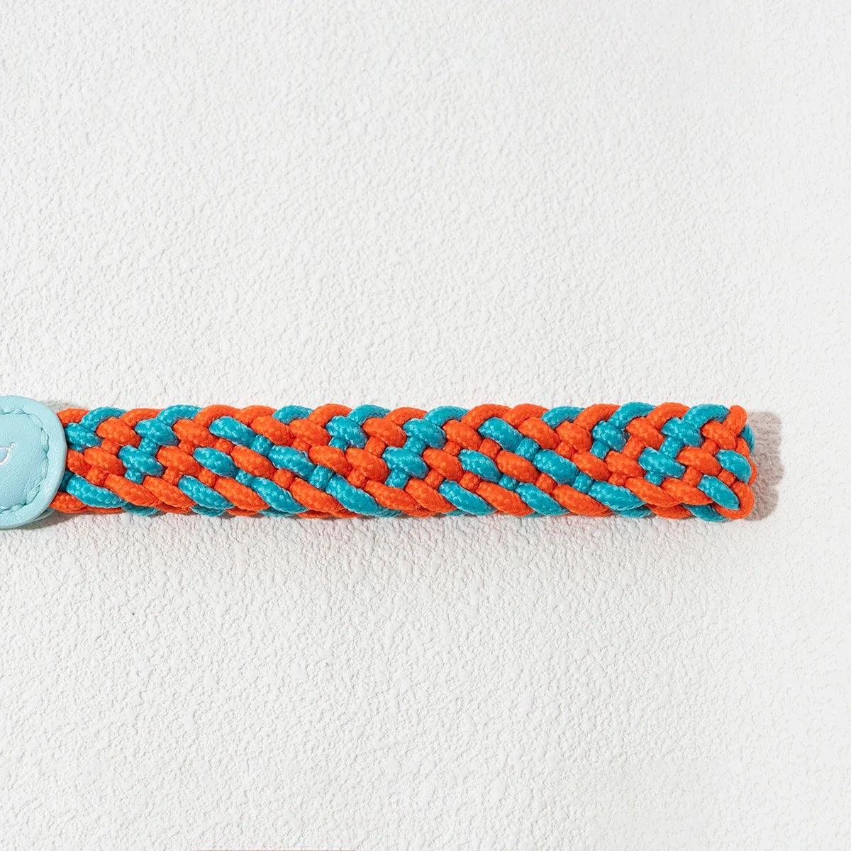 Switch & Stroll 2-in-1 Rope Dog Leash