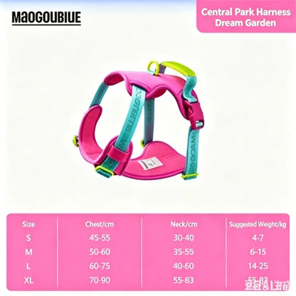 Pawfetti Dog Harness & Leash Set