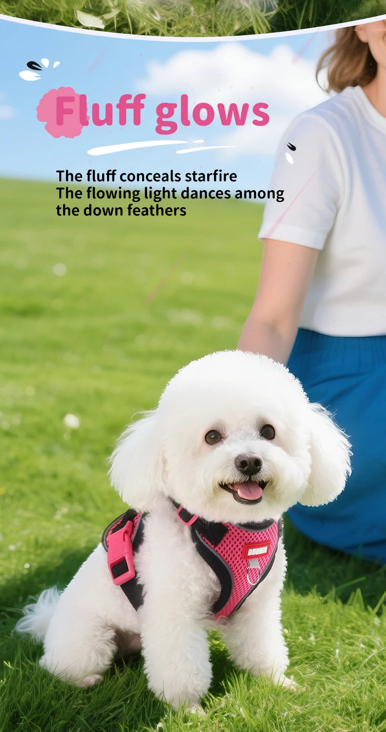 Purrfect Escape – Reflective Mesh Pet Harness & Leash Set