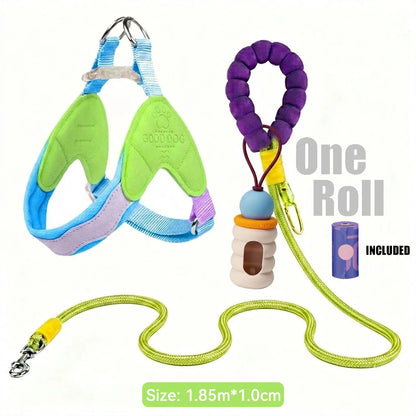 Waggle Galaxy – Colorblock Dog Harness & Leash Set
