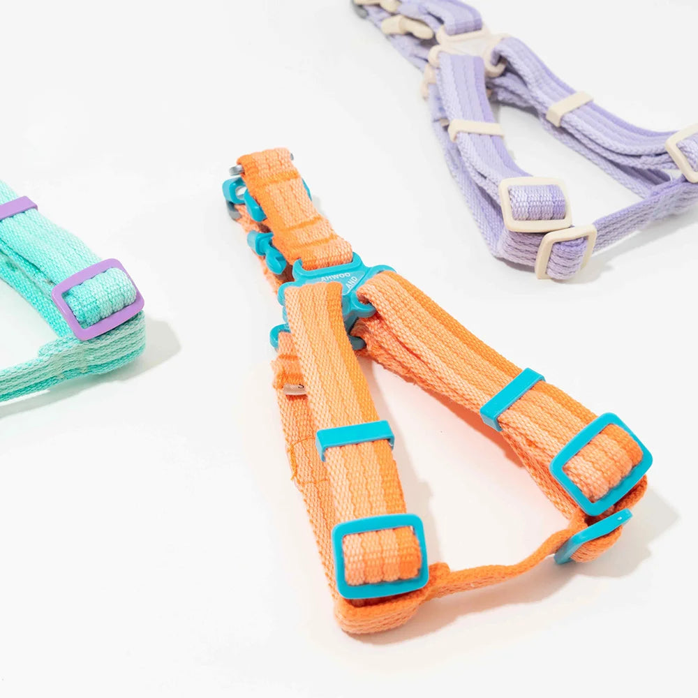Breezy Pop Dog Harness & Leash Set