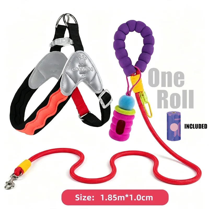 Waggle Galaxy – Colorblock Dog Harness & Leash Set