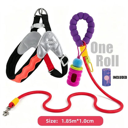 Waggle Galaxy – Colorblock Dog Harness & Leash Set