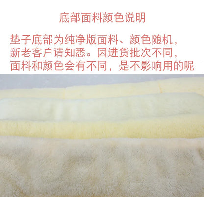 Thickened Comfortable Warm Small Cat Sleeping Cushion Skin-friendly Cute Winter Medium Dog Sofa Mat for Puppy Bed Accessories