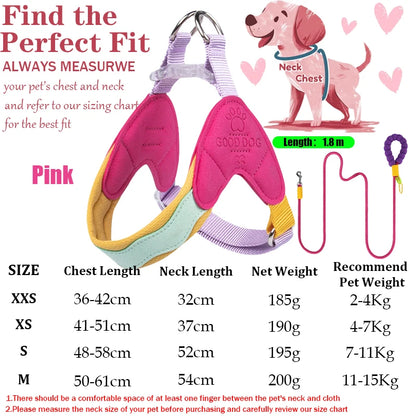 Waggle Galaxy – Colorblock Dog Harness & Leash Set
