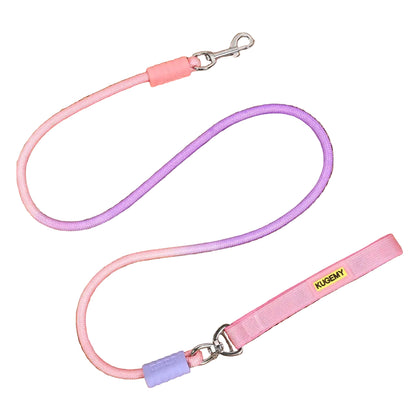 Wagbow Gradient Rope Dog Leash