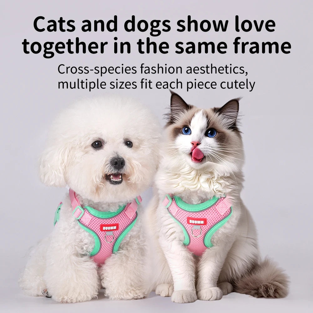 Purrfect Escape – Reflective Mesh Pet Harness & Leash Set