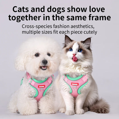 Purrfect Escape – Reflective Mesh Pet Harness & Leash Set
