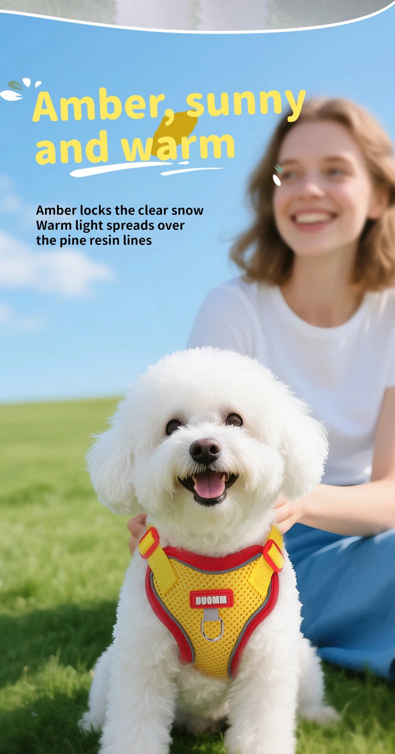 Purrfect Escape – Reflective Mesh Pet Harness & Leash Set