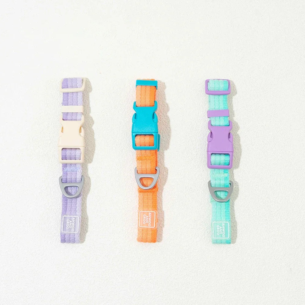Breezy Pop Dog Harness & Leash Set