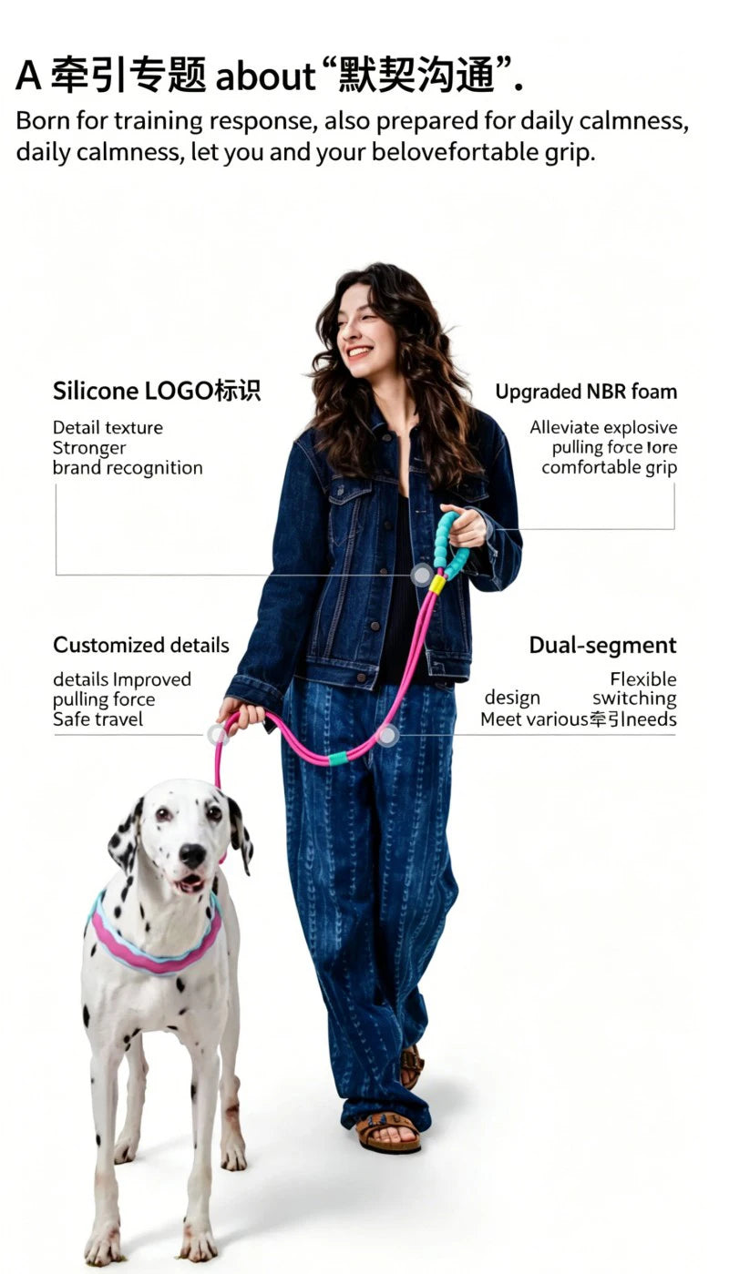 Pawfetti Dog Harness & Leash Set