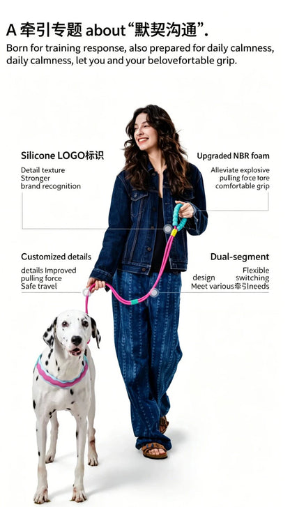 Pawfetti Dog Harness & Leash Set