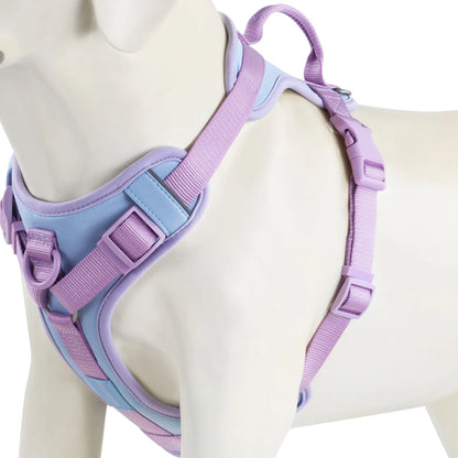 Pawzzle Pop – Colorblock Adjustable Dog Harness