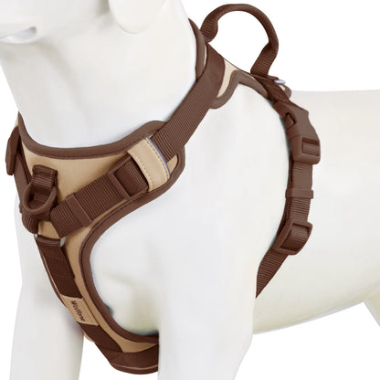 Pawzzle Pop – Colorblock Adjustable Dog Harness