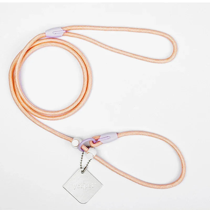 Dog Leash Slip Lead Rope Collar Strong Lightweight Braided Dog Training Leash No Pull Training Lead Leash for Medium & Small Dog