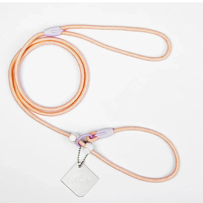 Dog Leash Slip Lead Rope Collar Strong Lightweight Braided Dog Training Leash No Pull Training Lead Leash for Medium & Small Dog