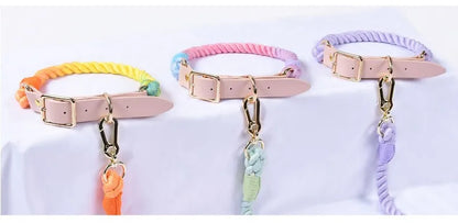 Wholesale Handmade Woven Colorful Pet Dog Leash Set Leather Dog Collar Supplies Cross-Border
