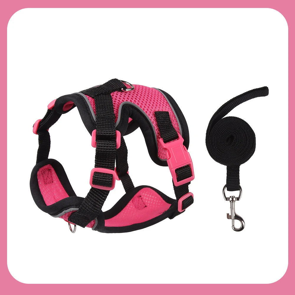 Purrfect Escape – Reflective Mesh Pet Harness & Leash Set