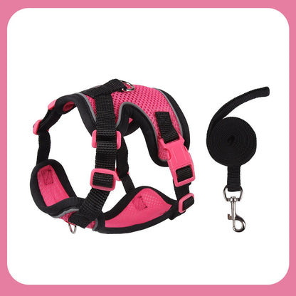 Purrfect Escape – Reflective Mesh Pet Harness & Leash Set