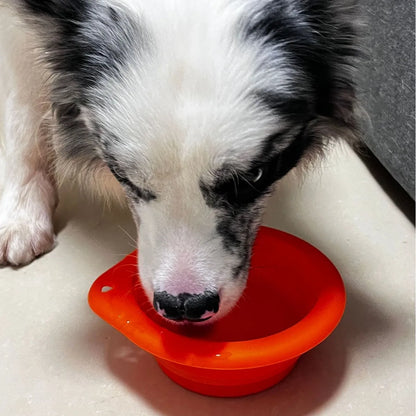 1/3PC Portable Collapsible Silicone Dog Cat Bowl Round Foldable Travel Food Water Bowl for Outdoor Feeding with Carabiner