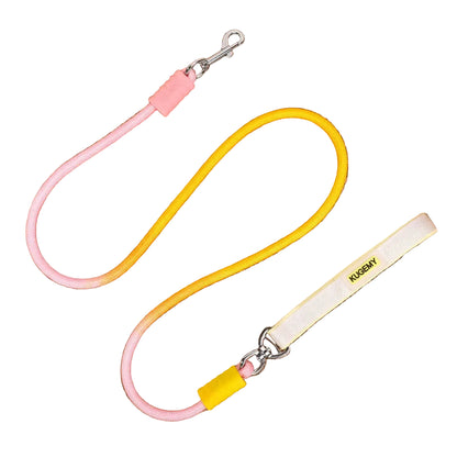 Wagbow Gradient Rope Dog Leash