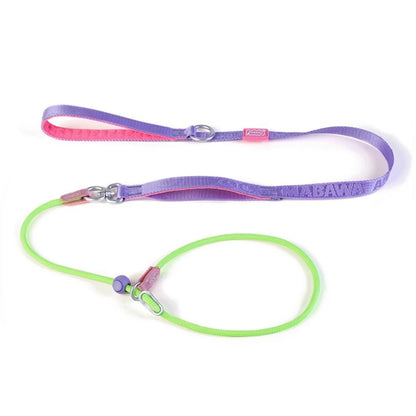 Pawloop Rope Slip Lead Dog Leash