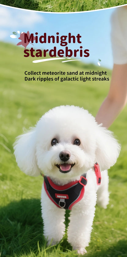 Purrfect Escape – Reflective Mesh Pet Harness & Leash Set