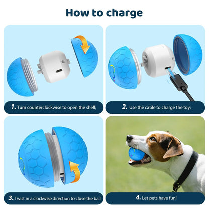 HaloBounce — Interactive Dog Ball
