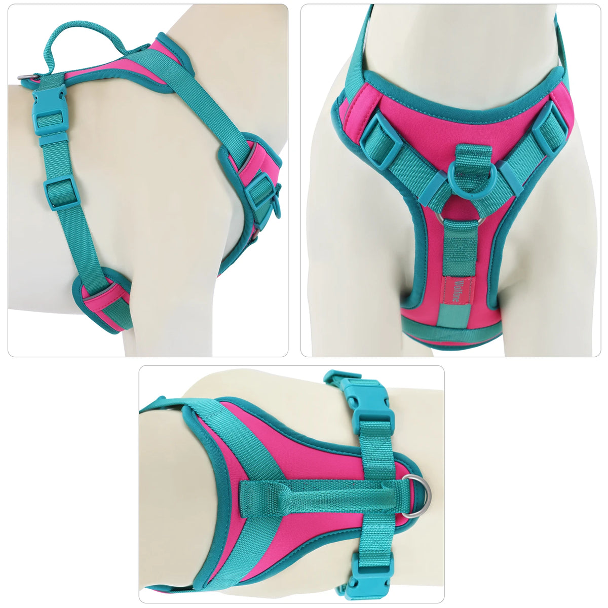 Pawzzle Pop – Colorblock Adjustable Dog Harness