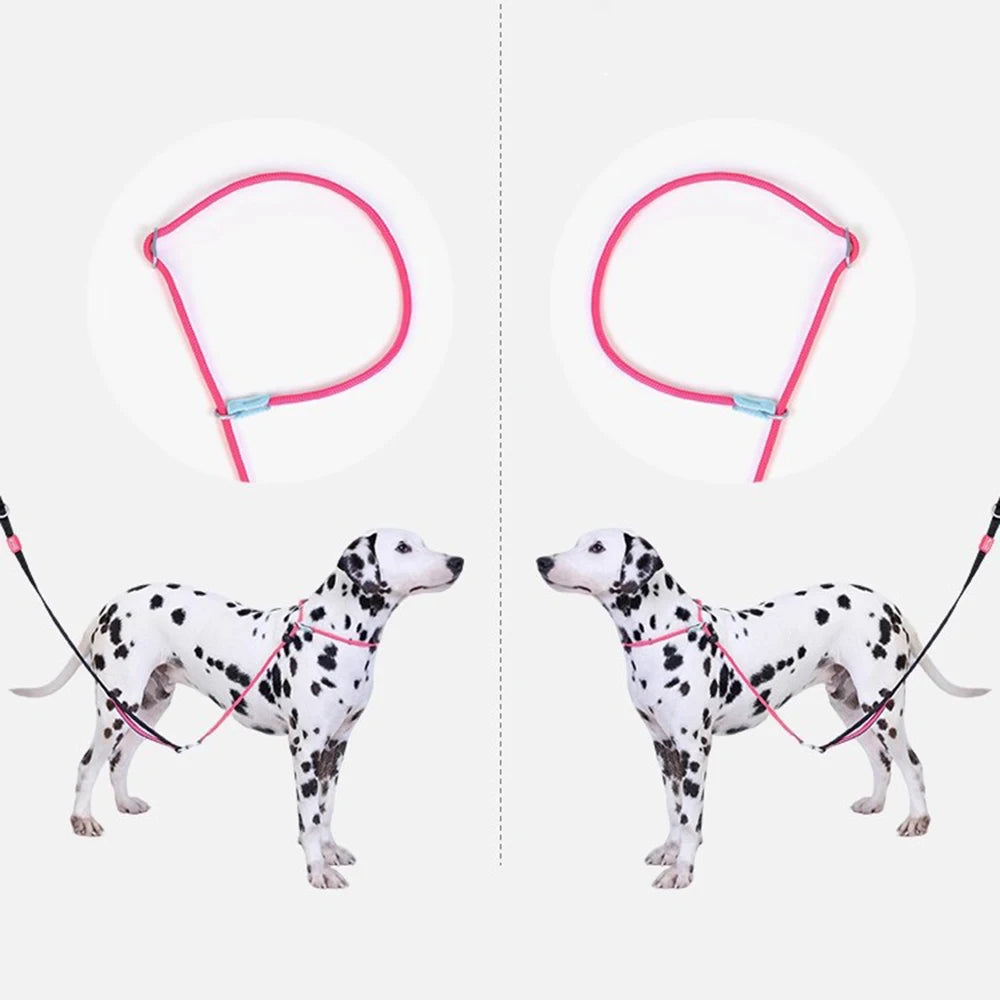 Pawloop Rope Slip Lead Dog Leash