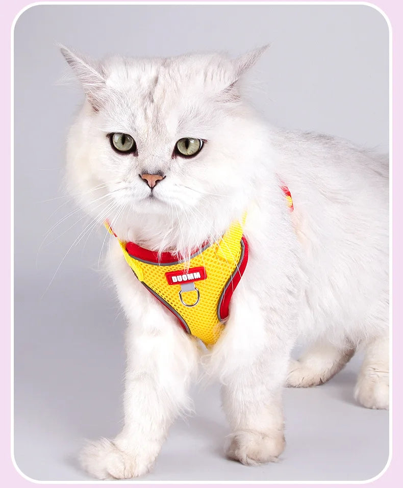 Purrfect Escape – Reflective Mesh Pet Harness & Leash Set