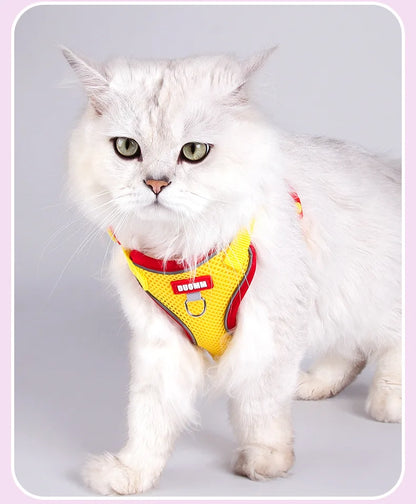 Purrfect Escape – Reflective Mesh Pet Harness & Leash Set