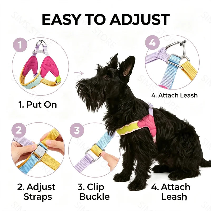 Waggle Galaxy – Colorblock Dog Harness & Leash Set