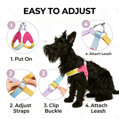 Waggle Galaxy – Colorblock Dog Harness & Leash Set