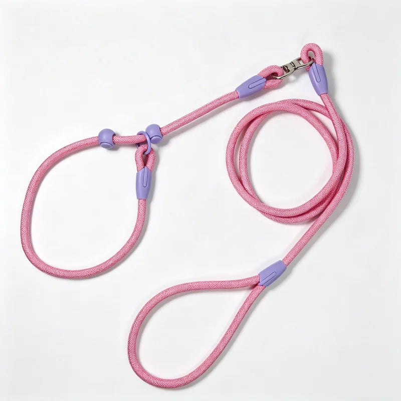 Wag-a-Doodle Adjustable Nylon Slip Lead Dog Leash