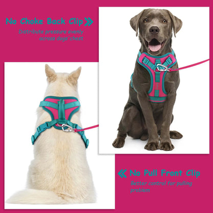 Pawzzle Pop – Colorblock Adjustable Dog Harness