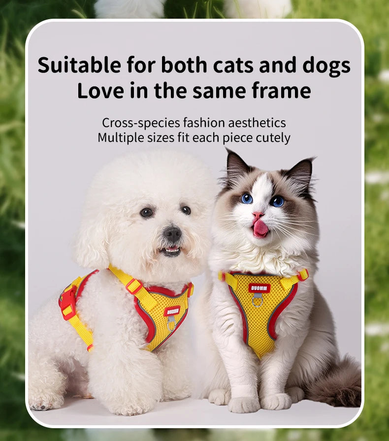 Purrfect Escape – Reflective Mesh Pet Harness & Leash Set