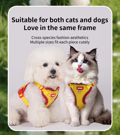 Purrfect Escape – Reflective Mesh Pet Harness & Leash Set