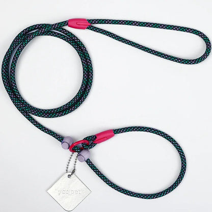 Dog Leash Slip Lead Rope Collar Strong Lightweight Braided Dog Training Leash No Pull Training Lead Leash for Medium & Small Dog