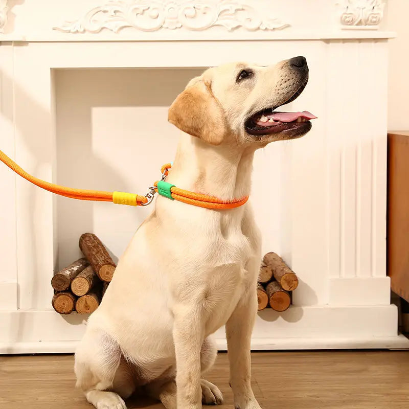 Dopamine Colorful No Pull Anti Explosion Impact Dog Leash Heavy Duty Shock Absorb Training Outdoor Walking Rope For Large Dogs