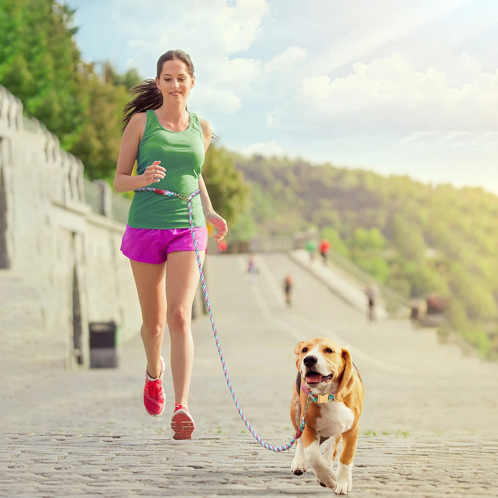 Twist & Tail Braided Hands-Free Dog Leash | Angel on Paws