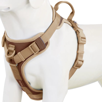 Pawzzle Pop – Colorblock Adjustable Dog Harness